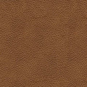 Carianna Sofa and Loveseat