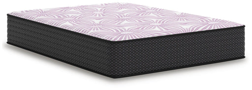 BL Plush 12 Inch Queen Mattress