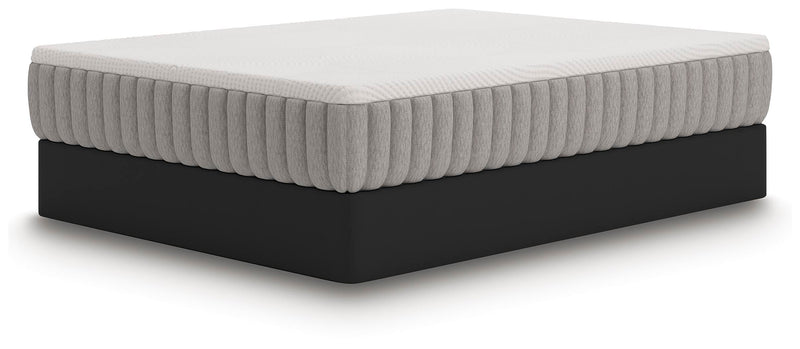 Terra Sleep Medium Queen Mattress