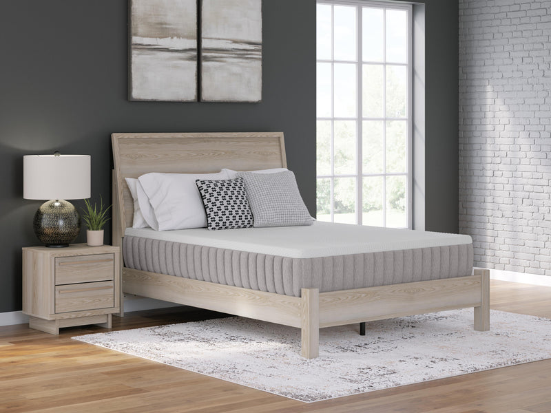 Terra Sleep Medium Queen Mattress